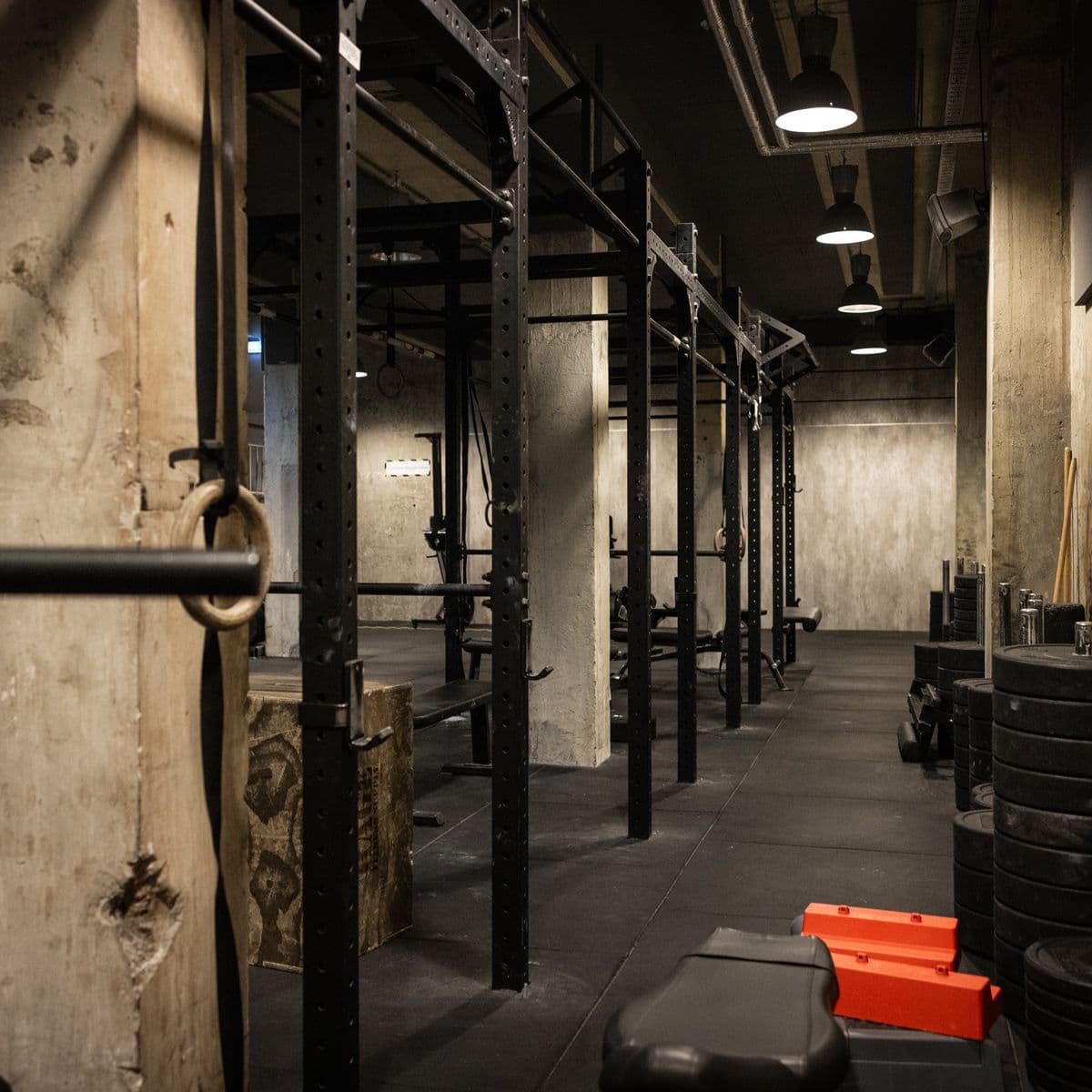 Bilde i bildegalleri