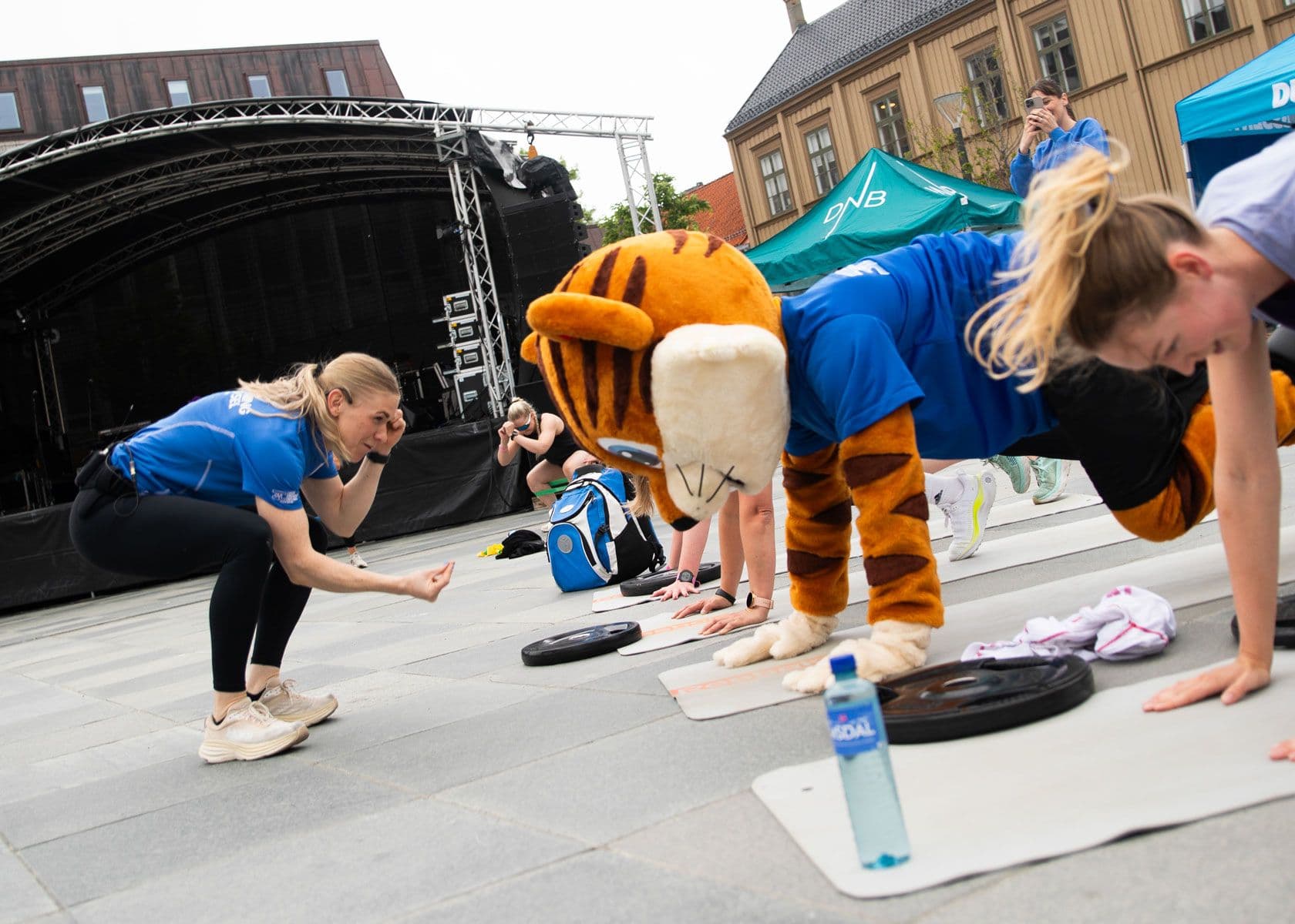 Bilde i bildegalleri