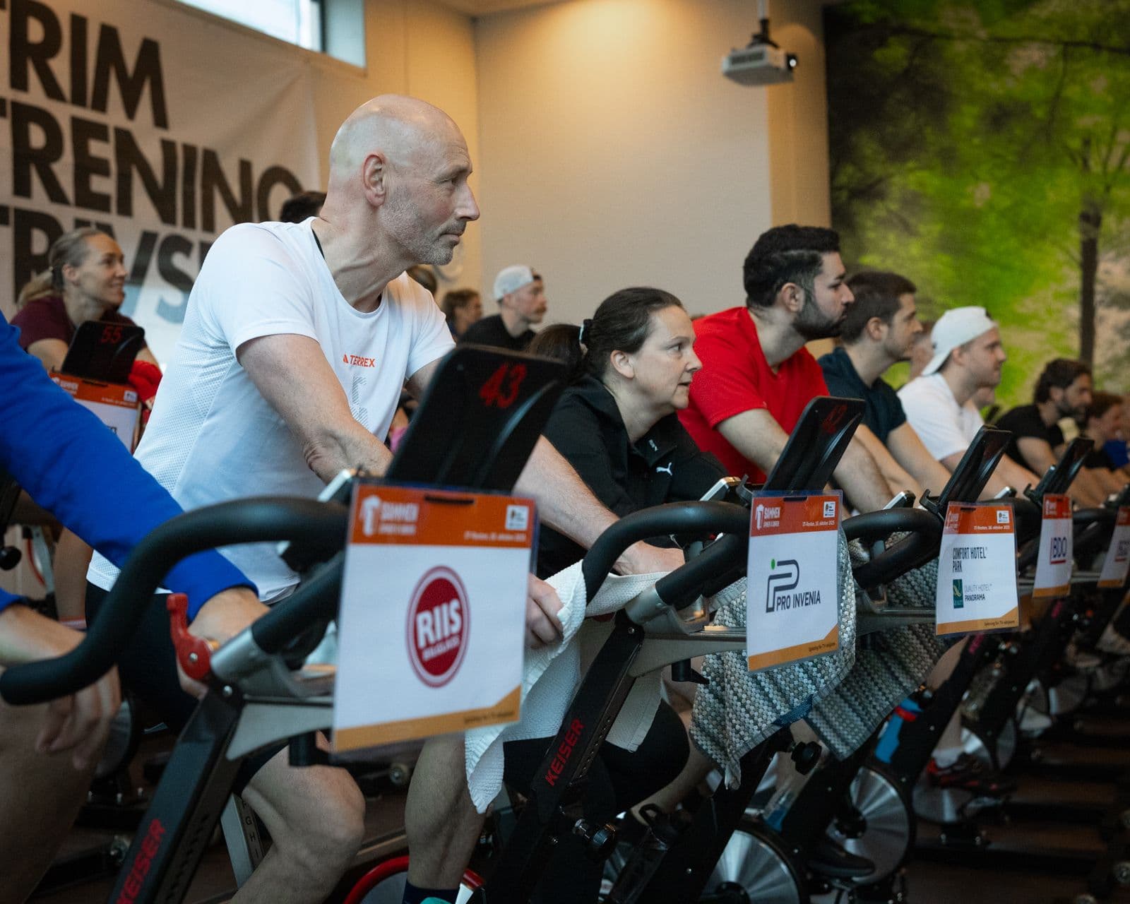 Bilde i bildegalleri