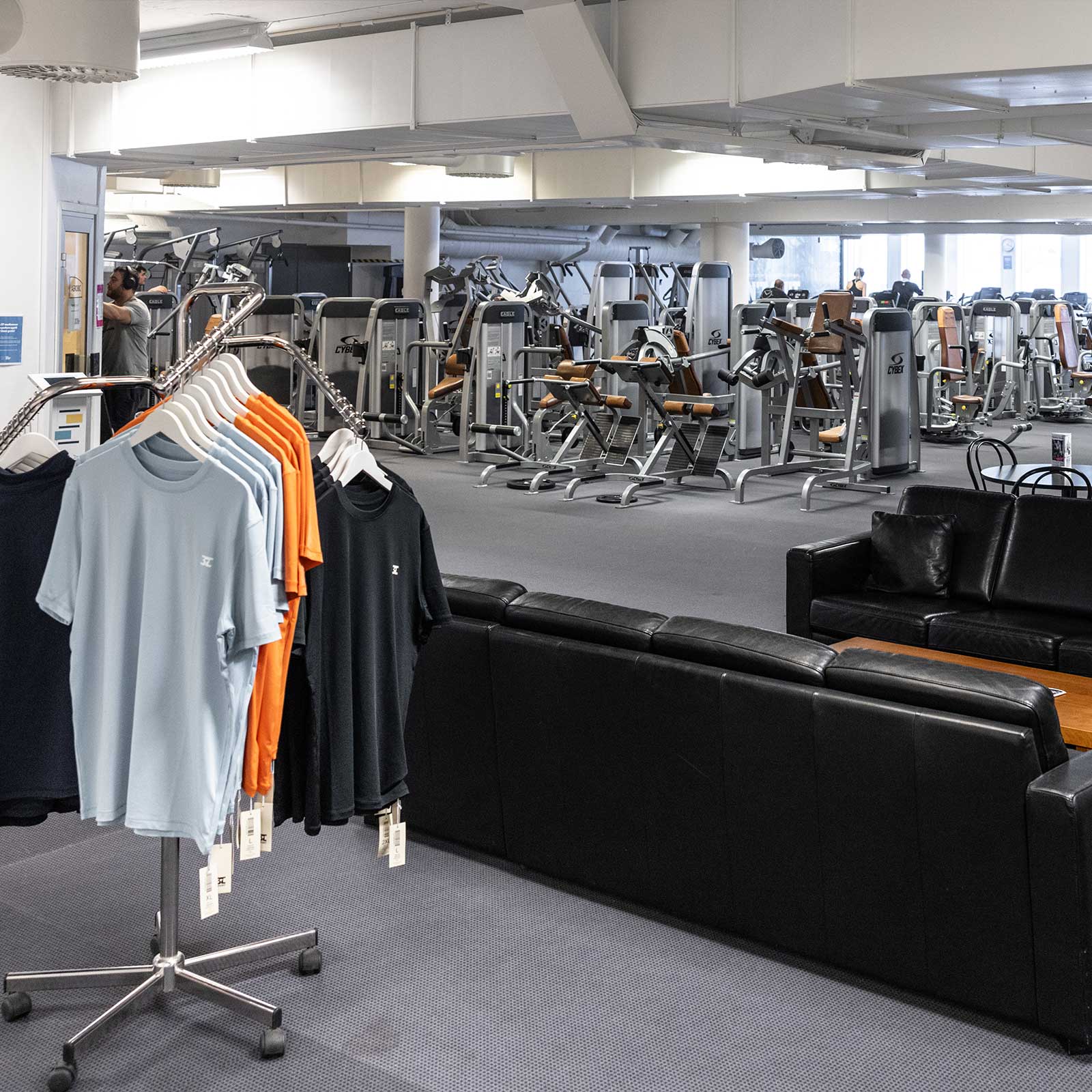 Bilde i bildegalleri