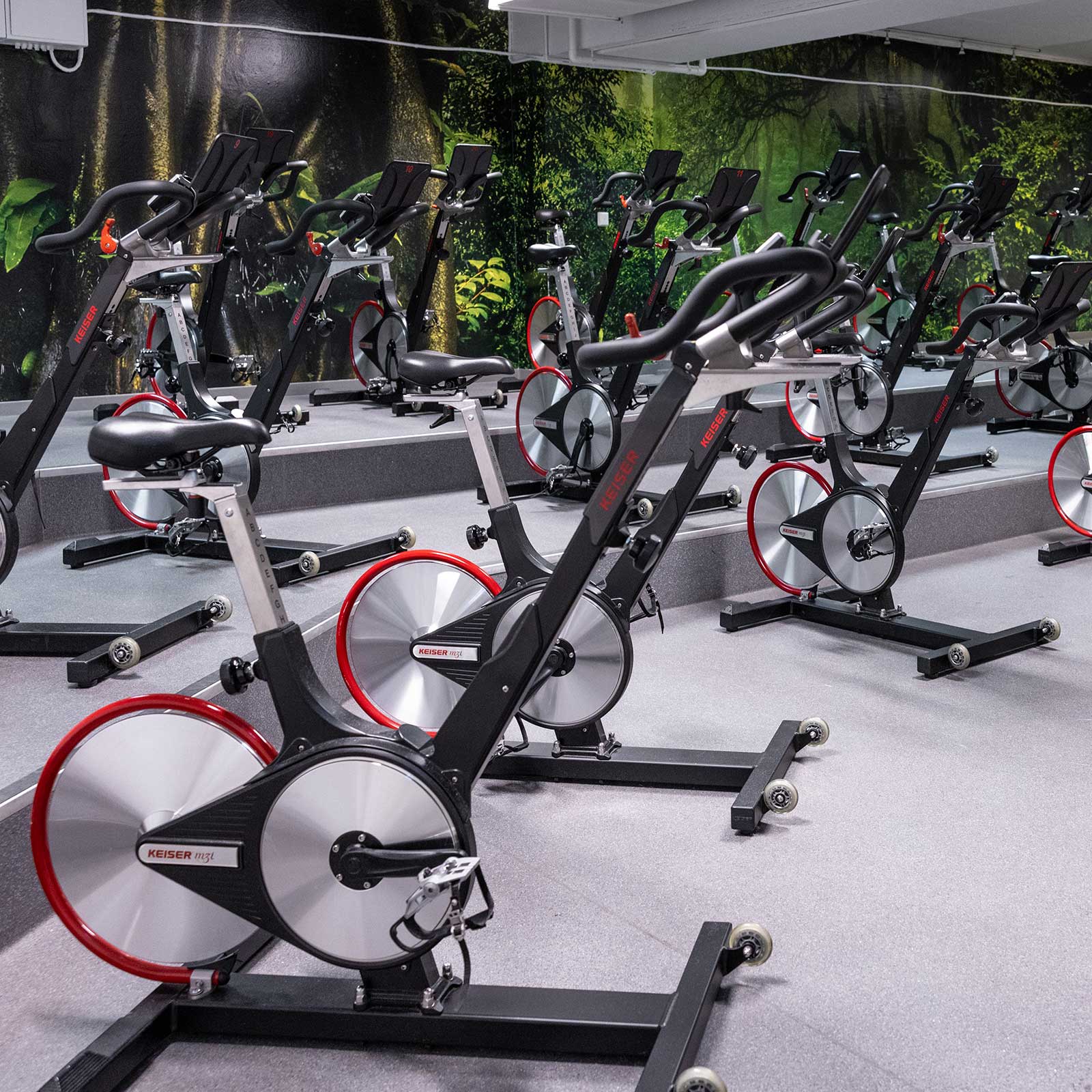 Bilde i bildegalleri